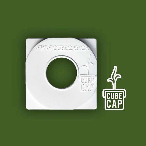 Cube Cap 10.5x10.5cm-Laine de roche- growstore.fr