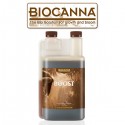Biocanna Bio Boost 250ml-Exhausteurs & Rendement- growstore.fr