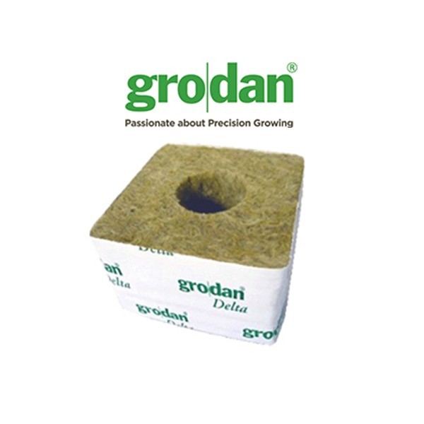 Cube LDR 10x10x6,5cm (petit trou) Grodan-Laine de roche- growstore.fr
