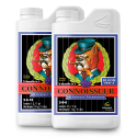 pH Perfect Connoisseur Bloom Part A / B - ADVANCED NUTRIENTS - 500ml / 1L / 4L / 10L