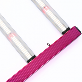 Système LED Aura Pro 3.2 720W Solux